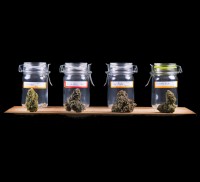 <div>The Smart Shoppers' Guide to Buying Marijuana Flower at a Dispensary</div>