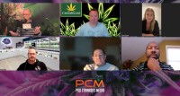 Is The Cannabis Industry Really Dead? 10 Industry Experts Weigh In on the Current State of Affairs in the Marijuana Industry