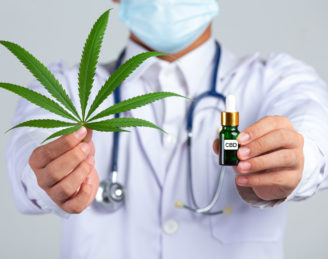CBD is Safe Even If You Tried to Overdose On It Says New Study – High Doses of CBD Are Safe Says Scientists
