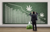 Cannabis Sales in Colorado Have Fallen for 11 Straight Months YoY, Should We Be Concerned, Yet?