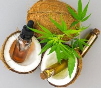Why Coconut Oil is the Best Choice for Cannabis Infusions and Tinctures