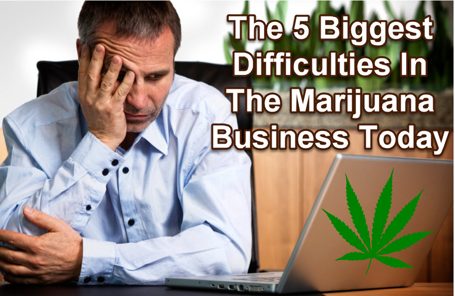 The 5 Biggest Difficulties In The Marijuana Business Today - Site Title