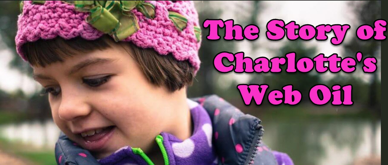 What Is Charlotte s Web Oil And Where Can You Get It Mike A Connery
