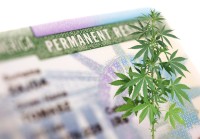 What Does It Mean for the Cannabis Industry Now That Maine Struck Down Residency Requirements for Medical Cannabis Businesses?