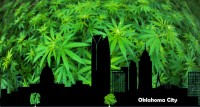 9,000 Cannabis Culitvation Licenses Later, How Did Oklahoma Become a Cannabis Legend in America?