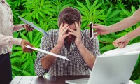 Stressed Out? - Your Endocannabinoid System Is Out of Whack, Here Is How to Fix It and Go Stress Free