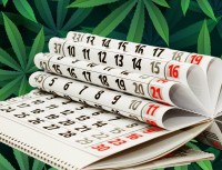 The 10 Most Significant Dates in Cannabis History (2024 Update)