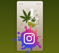 Best Place to Find a Weed Dealer Online? Instagram Still Leads the Way for Finding a Cannabis Plug