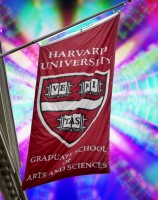 <div>Trippin' Balls in Haaarvard Yaaard? - Harvard to Create Multidisciplinary Psychedelics Program for Students</div>