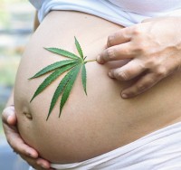 Using Medical Marijuana During Pregnancy Is No Longer Considered Child Abuse in Arizona
