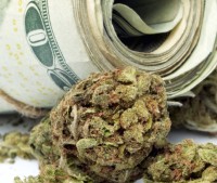 Do Medical Marijuana Sales Plummet When Recreational Cannabis Stores Open? - Arizona Booms on Rec as Medical Fizzles
