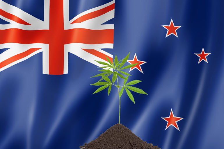 Grow Home, Stay Home – New Zealand Approves First Locally Grown Cannabis Products