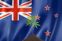 Grow Home, Stay Home - New Zealand Approves First Locally Grown Cannabis Products
