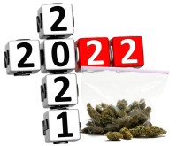 What are the Top 5 Cannabis News Stories of 2022? - You Vote, You Win!