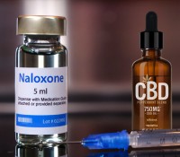 A Narcan Shot for a Fentanyl Overdose, But Can CBD Reverse Any Fentanyl Damage in Your Body?