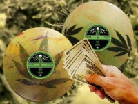 Have You Listened to Weed, Yet? - Vinyl Record Released with Cannabis Leaves Pressed Into It