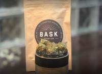 Dispensary Spotlight on Bask - The MA Dispensary That Is The Cannabis Crush of New England and Beyond