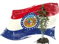 <div>Red States' Anti-Pot Laws Start to Crack? - Is Missouri the First Domino of Red States about to Approve Recreational Marijuana?</div>