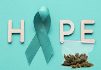 Cannabis Compounds That Fight Ovarian Cancer? - What Two New Studies are Telling Doctors