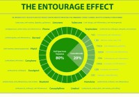 The Magic of the Entourage Effect - How CBD, CBN, and Other Hemp Compounds Work Together For Maximum Benefit