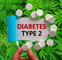 Want to Lower Your Risk of Type 2 Diabetes by 50%? Start Using Cannabis Says New Medical Study!