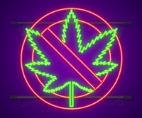 Is Cannabis Legalization Stalling Out Across America? - Rec Weed Fails in Arkansas, North Dakota, South Dakota, and Oklahoma
