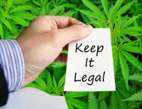 How Legal is CBD, Really?