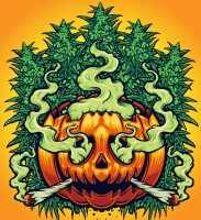The Pumpkin Bong - The New Way to Get High This Fall