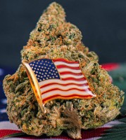 Descheduling Marijuana - The Holy Grail of the Cannabis Industry Gets a Bipartisan Push to President Biden