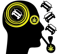 The More Weed You Smoke, the Better Driver You Become? New Study Looks at the Driving Skills of Habitual Cannabis Users