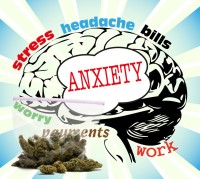 Latest Studies Prove That Cannabis is Indeed Effective for Anxiety and Depression