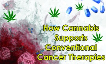 How Cannabis Supports Conventional Cancer Therapies