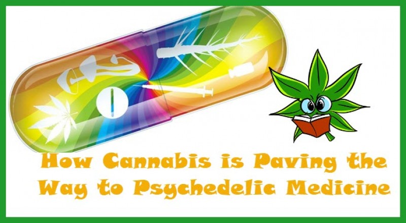 Cannabis for Psychedelic Medicine