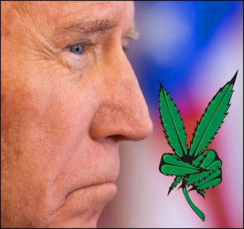 What Does President Biden Have Against Weed?