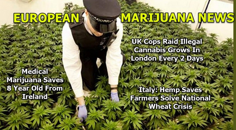 marijuana news in europe