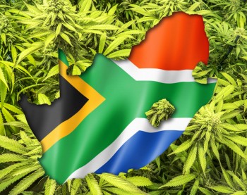 South Africa's $1.9 Billion Cannabis Plan Could Spark International Marijuana Commerce and Trade