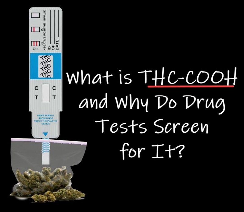 Why is THC-COOH on a drug test