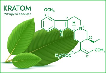 Is Kratom Addictive? Understanding Dependence, Risks, and Safe Usage