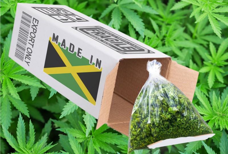 American imports cannabis from Jamaica