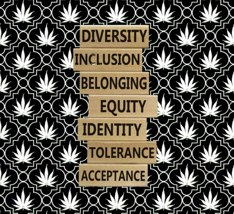 social equity in cannabis