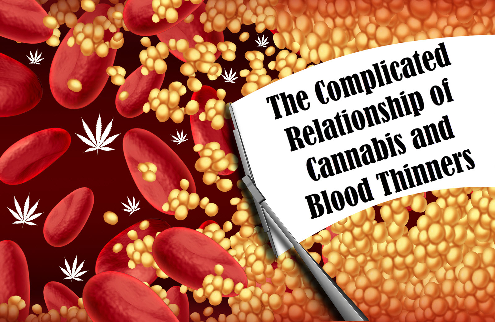 the-complicated-relationship-between-cannabis-and-blood-thinners