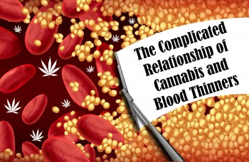 The Complicated Relationship between Cannabis and Blood Thinners