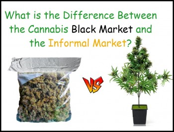 What is the Difference between the Cannabis Black Market and Cannabis Informal Market?