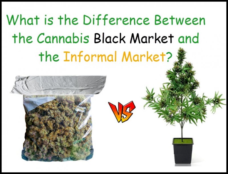 cannabis black market or informal market