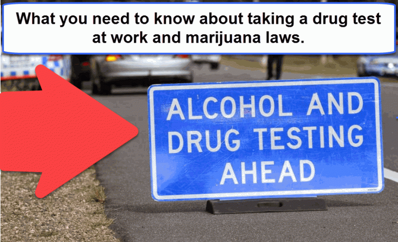 Marijuana Work Drug Tests