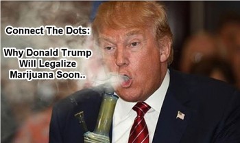 Connect The Dots: Why Donald Trump Will Legalize Marijuana