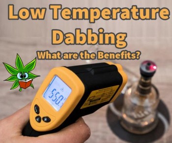 Low Temperature Dabbing - What are the Benefits?