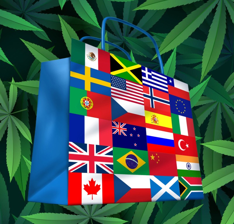 international cannabis import and export business
