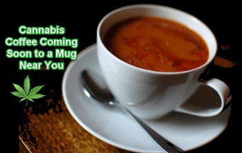 Cannabis Coffee Coming Soon to a Mug Near You
