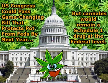 US Congress Could Pass Game-Changing Bill That Protects Pot From Feds By Next Year